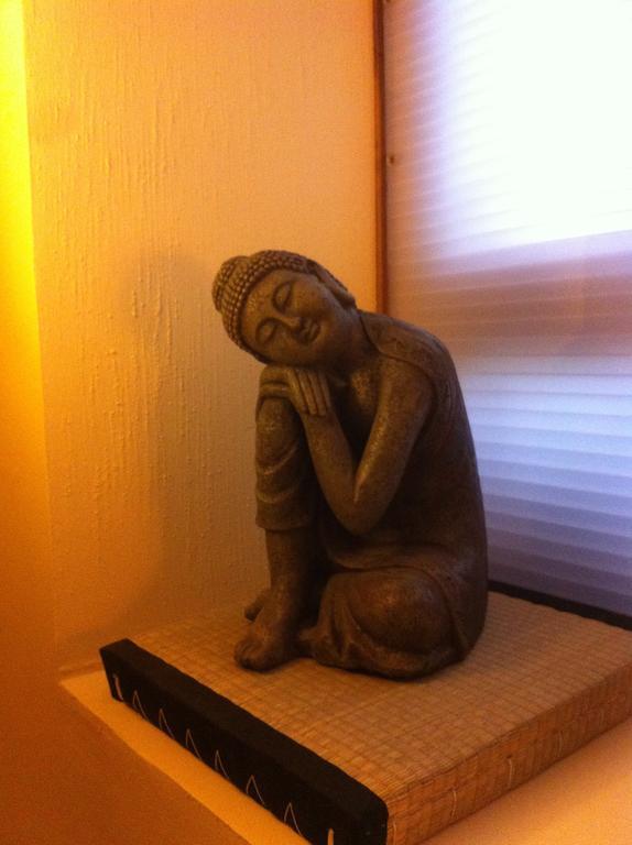 Minshuku Chambres D'Hotes Japonaises ティエール 部屋 写真